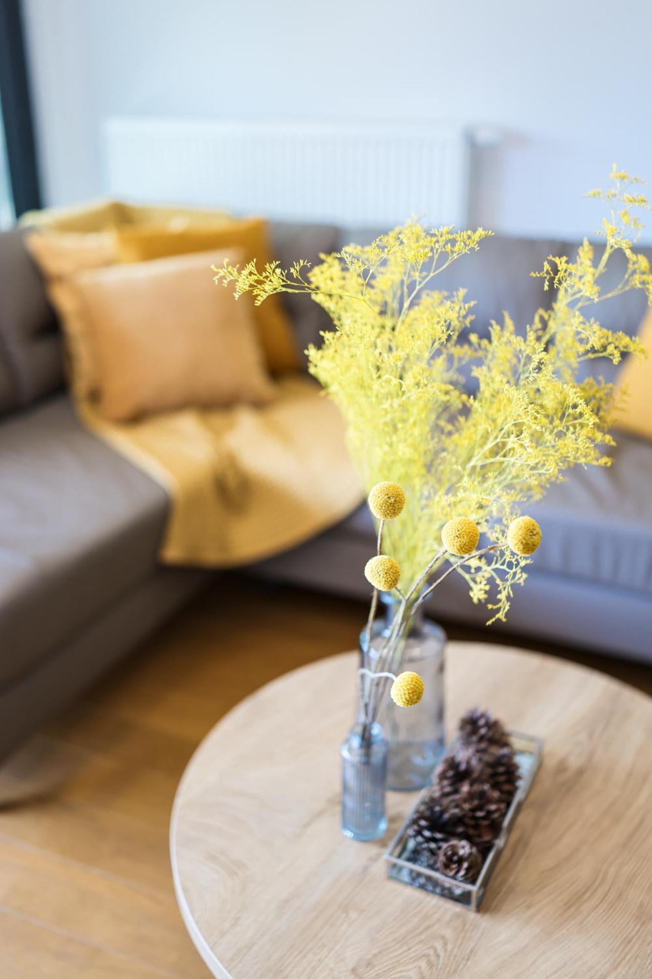 Apartma Allure Zadar