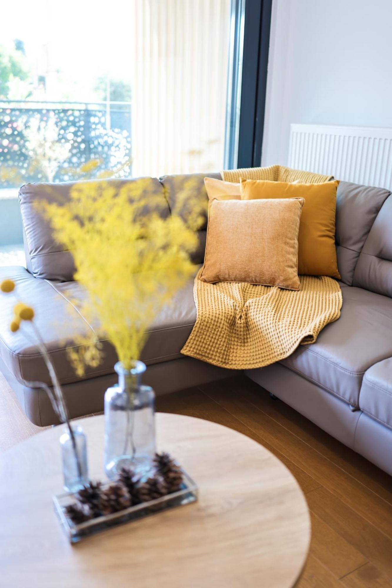 Apartment Allure